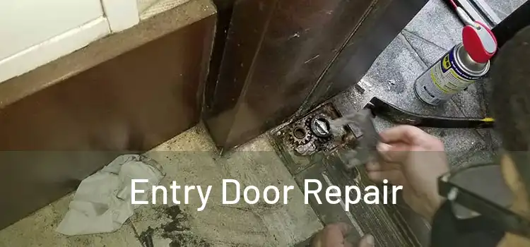 Entry Door Repair