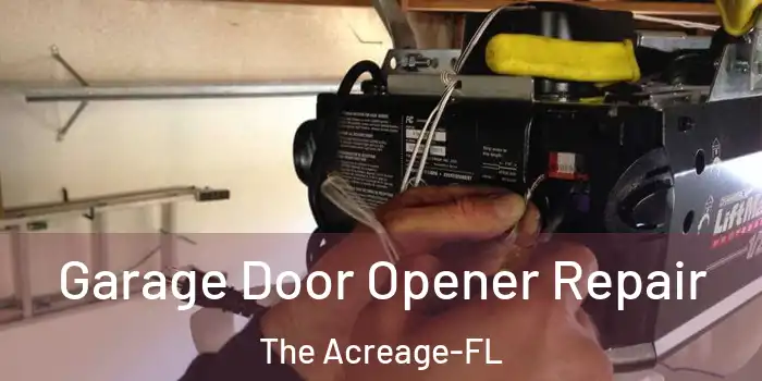  Garage Door Opener Repair The Acreage-FL