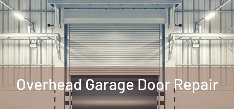 Overhead Garage Door Repair