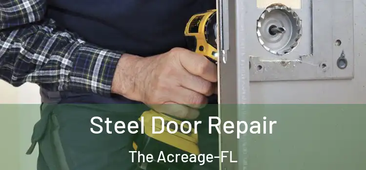  Steel Door Repair The Acreage-FL